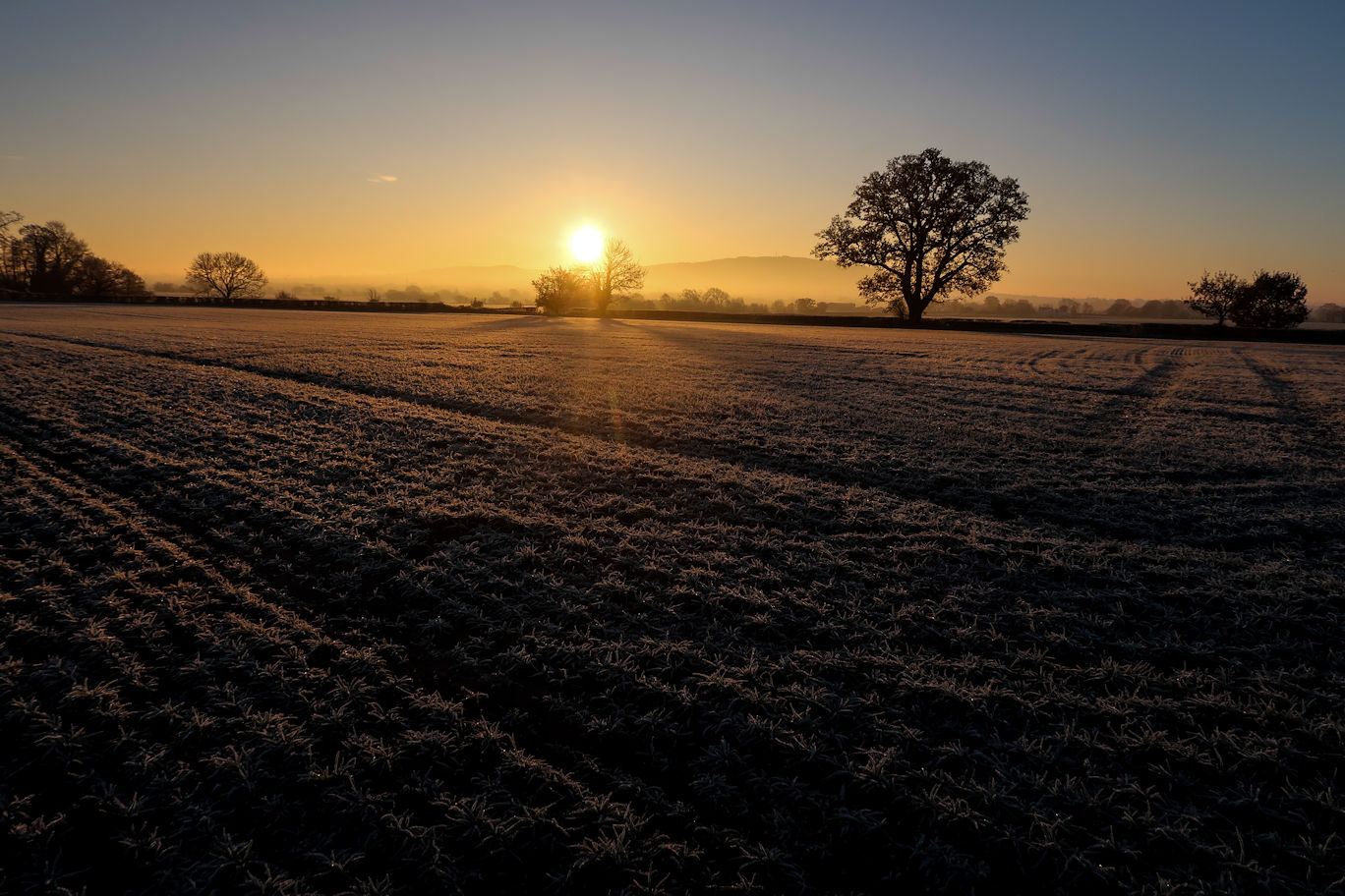 A crisp morning A crisp morning