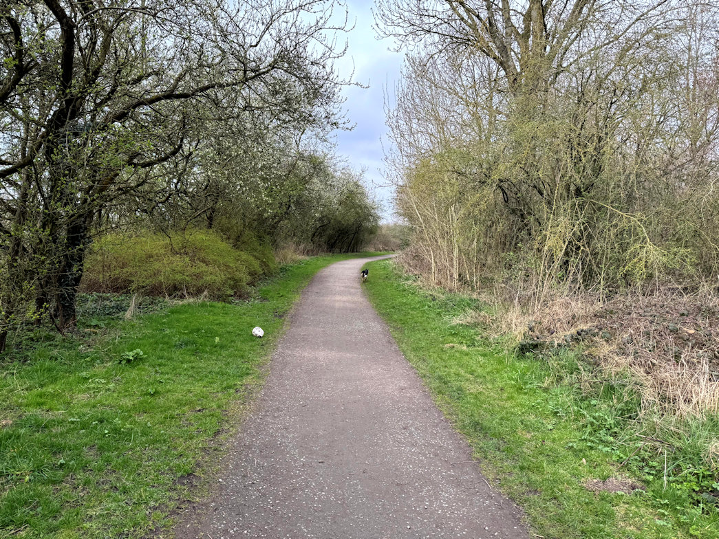Walking into Shrewsbury Walking into Shrewsbury