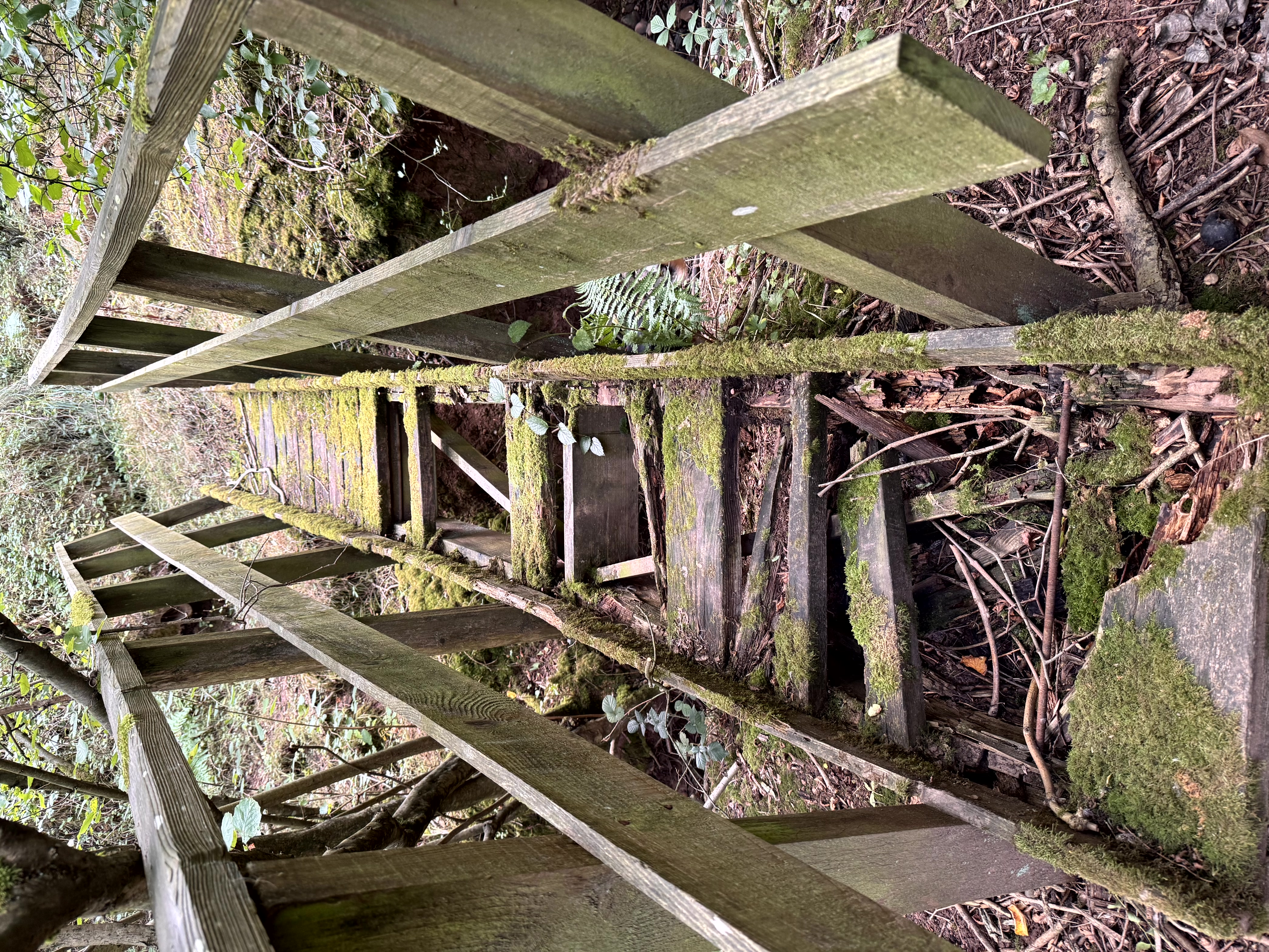 Bridge of Doom Bridge of Doom