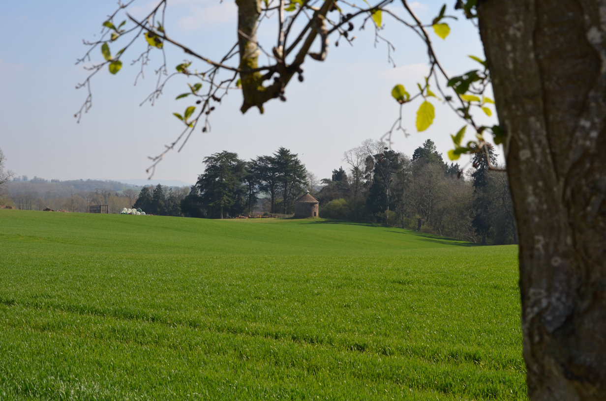 Norman Dovecote Norman Dovecote