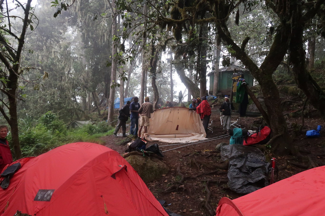 Forest Caves Campsite